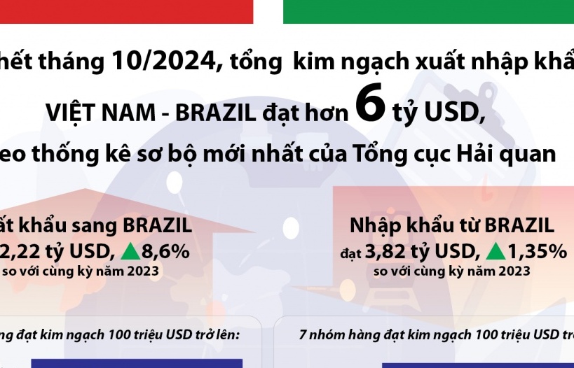 (INFOGRAPHICS) Brazil đối tác thương mại hàng đầu của Việt Nam ở Nam Mỹ