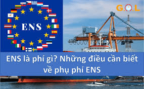 Sai sót trong ENS và nguyên nhân thường gặp