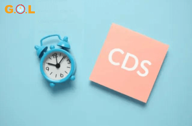 Cách xử lý lỗi kết nối CDS với hệ thống Hải quan